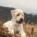 rodomom profile picture