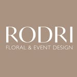 rodristudio profile picture