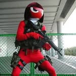 rogerlui profile picture