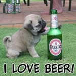 rohit742237 profile picture