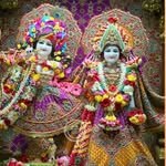 rohitkhanna3424 profile picture