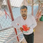 rohitsingh1258 profile picture