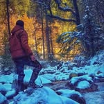 rohit_vatsyaa profile picture