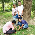 rohityadav26bhu profile picture