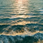 rollinallout profile picture