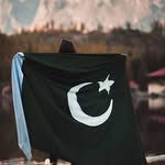 romaan_razaa profile picture