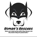 romans_rescues profile picture