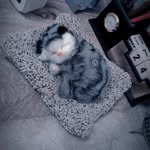 roma_thakur_1234 profile picture