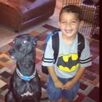 romxngarcia profile picture
