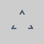 ronin_platform profile picture