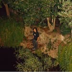 ronishao profile picture