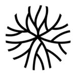 rootedurbanism profile picture