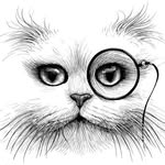 rorydobner profile picture