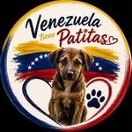 rosalbaalvernia profile picture