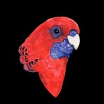 rosellasushi profile picture