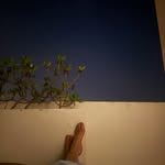 rosemcgowan profile picture
