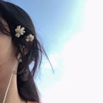 rose__x11 profile picture