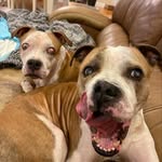 rosieandking profile picture