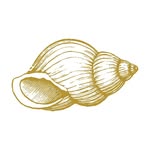 roslinbeachhotel profile picture