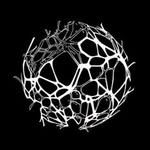roth_architecture profile picture