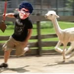 roufathome profile picture