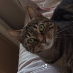 roxannecoulet69 profile picture