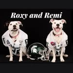 roxy_remitv profile picture