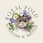 royalfoldsnyc profile picture