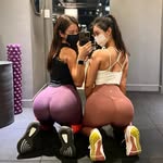 royalgym_fitness profile picture