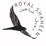 royalshaheen profile picture