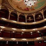 royalswedishballet profile picture
