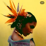 rrajarishi_ profile picture