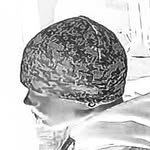 rrdenzel profile picture