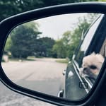 rshep23 profile picture