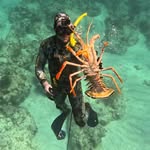 rtannehill17 profile picture