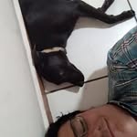 rteran_md profile picture