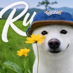 ru__0_o profile picture