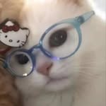 ruanitowsgg profile picture