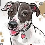 rubyroobaru profile picture