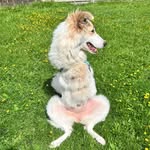 ruby_thenoodlebear profile picture