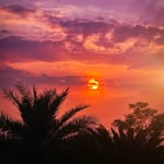 rudraksh_taylor_ profile picture