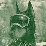 rudy profile picture