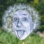 rudy_willingham profile picture