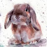 rueruerabbit profile picture