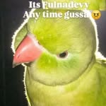 ruks_ana478 profile picture