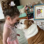 rupert.the.bulldog profile picture
