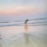 ruth.poojary profile picture