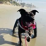 ruthbaileyginsburg profile picture