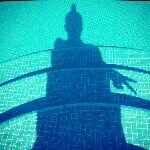 ruthchristinabrophy profile picture