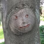 ryanmosley01 profile picture